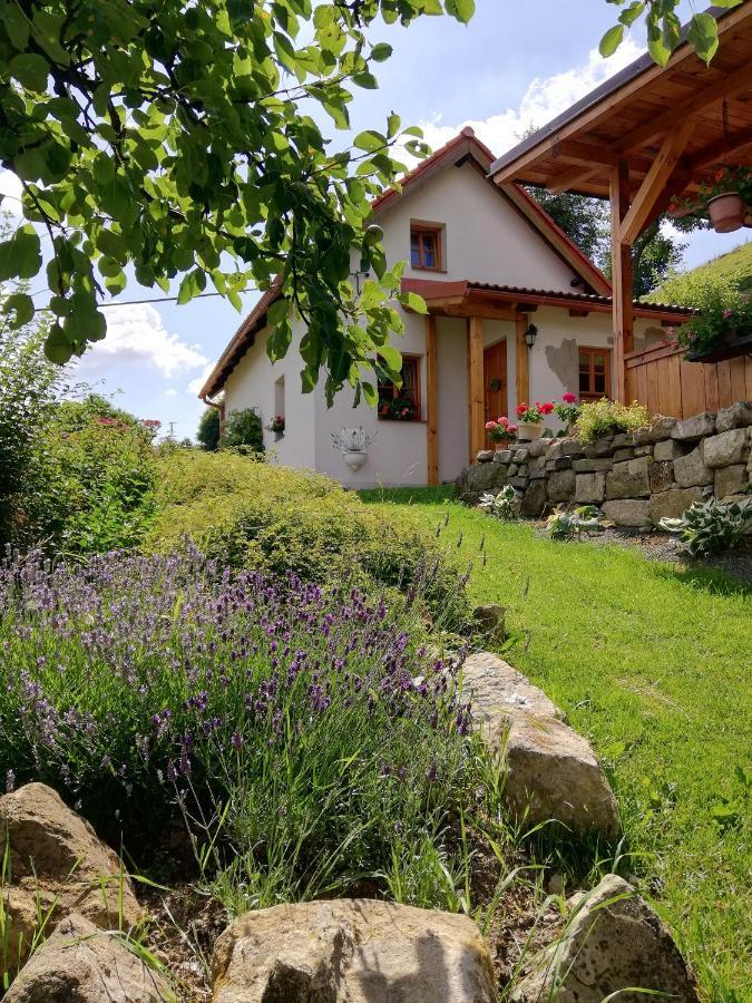 Charming House With Beautiful Landscape Villa Frýdštejn Dış mekan fotoğraf