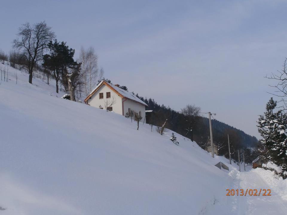 Charming House With Beautiful Landscape Villa Frýdštejn Dış mekan fotoğraf